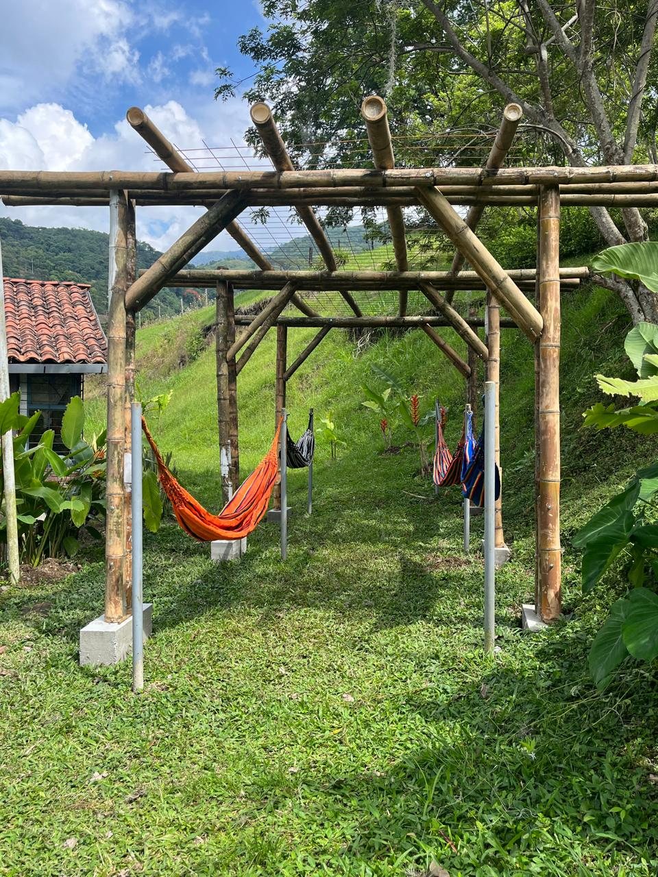 Hamacas colgadas en estructura de bambú frente a las montañas en Wailele